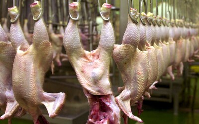 Na Slovensku sa objavilo ďalšie nebezpečné mäso z Poľska. Vo vzorke bola potvrdená infekčná baktéria