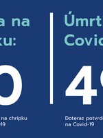 Na chrípku zomrelo na Slovensku počas minulej chrípkovej sezóny 40 ľudí. Na koronavírus už 491 pacientov