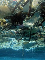 Na dně světových oceánů je asi 14 milionů tun plastu, tvrdí nová studie 
