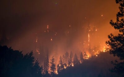 Na jihu Moravy hrozí požáry. Vedra se ve středu rozšíří i do středních Čech