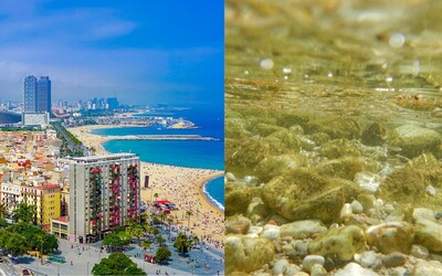 Na obľúbených španielskych plážach more vyplavuje toxické riasy. Takto ľahko dokážu vyvolať horúčku aj nevoľnosť