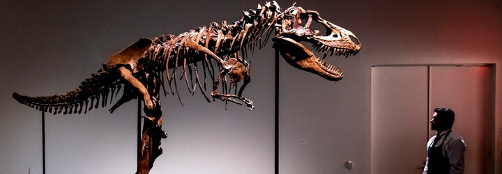 Na pobřeží Anglie našli rekordně velkou stopu masožravého dinosaura