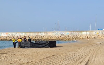 Na španielskej pláži vyplavilo telo dieťaťa bez hlavy. Polícia má dve verzie, čo sa mohlo stať
