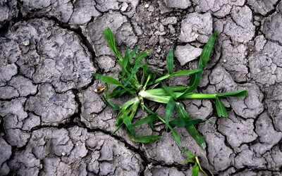 Na štyri ročné obdobia môžeš zabudnúť. Slovensko sa mení, budeme mať problémy so suchom aj s nedostatkom vody, hovorí klimatológ