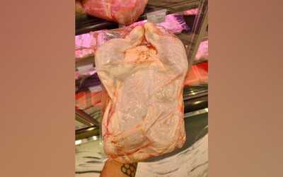 Na trhu se objevilo kuřecí maso se salmonelou, pochází z Polska. Koukni, jestli ho nemáš doma