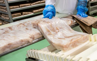 Na výrobu tresky použijú v Žiline denne až 8 a pol tony rýb. Takto miešajú vlastnú majonézu s ďalšími čerstvými surovinami