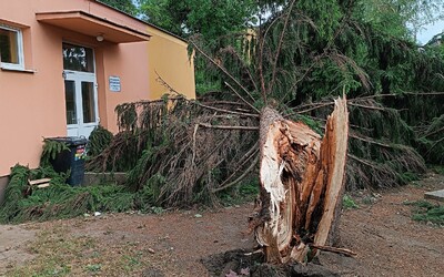Na západnom Slovensku je 6-tisíc domácností bez elektriny. Silná búrka vyvracala stromy a spôsobila škody