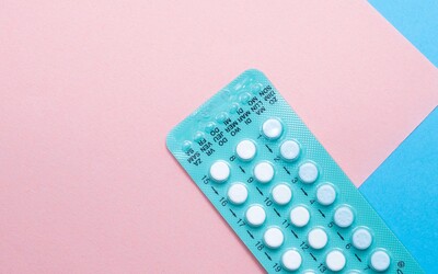 Naděje pro mužskou antikoncepci? Nová pilulka je na myších samcích účinná na 99 %
