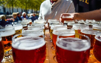 Najlepšie nealkoholické české pivá podľa odborníkov. Víťaz ťa prekvapí