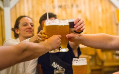 Najodpornejšie české pivá podľa turistov: tieto tri značky sú vraj prepadák, pijú ich aj Slováci