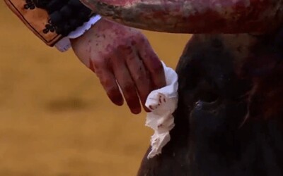 Najprv býkovi zotrel krv a slzy, potom ho zavraždil. Matador svojím činom pobúril ľudí