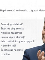 Napísali sme AI botovi o Slovensku, tu je odpoveď: Heger nie je premiér, je ním Matovič. Žiadnej mafie u vás niet, vysvetľoval nám