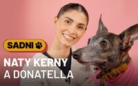 Naty Kerny: Louis Vuitton obojok pre môjho psíka stál 300 eur (SADNI)