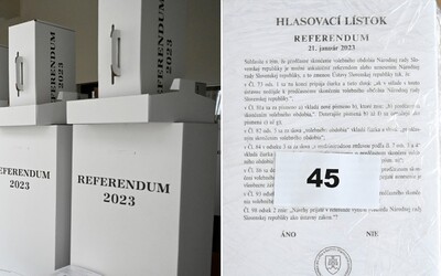Návod: Kedy a ako hlasovať v referende o predčasných voľbách?
