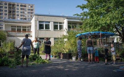 Navštívili jsme pražskou komunitní zahradu. Místní sbližuje a některým pomáhá překonat osamocení (Reportáž)