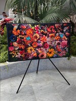 Nejen Netflix & chill: Televize jako brána do světa umění