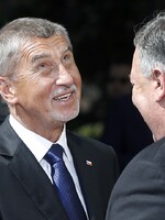 Nelžu ani nekradu. Příliš nepiju a nemám milenku, říká Babiš v rozhovoru