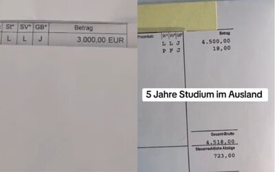 Nemci vo veľkom zverejňujú svoje výplatné pásky. Takto zarábajú na bežných pracovných pozíciách