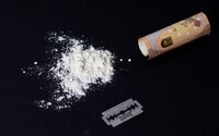 Němci zadrželi kokain za 1 miliardu eur v 211 sportovních taškách. Jde o největší úlovek v historii země