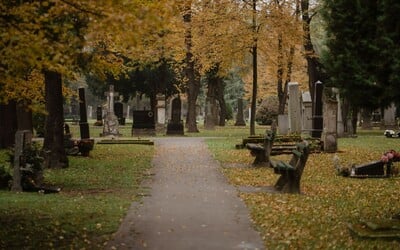 Nemecký hrobár čelí nechutnému obvineniu: Vraj mŕtvolám vyťahoval zlaté zuby predtým, než ich pochoval