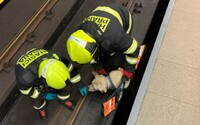 Nevidomá osoba spadla do kolejí pražského metra i se psem