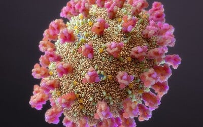 Nimbus dorazil do Maďarska. Nový variant koronavírusu má mať len mierne príznaky