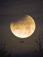 Nočné zatmenie Mesiaca ohromilo Slovákov. Večerné fotky ti pripomenú včerajší vzácny úkaz