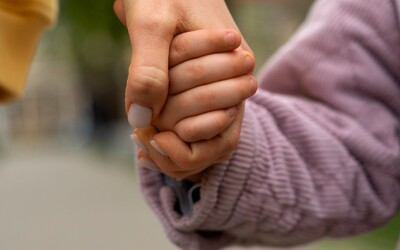 Novela zákona o stejnopohlavních párech překvapila experty. Umožní nejspíš rychlejší adopci