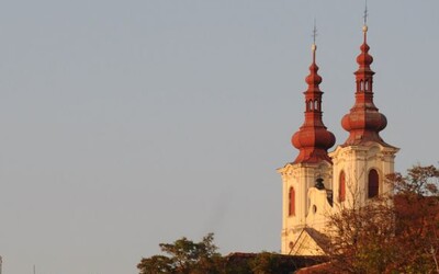 Nový český zářez. Žatec a tamní chmelařská krajina se staly součástí seznamu UNESCO