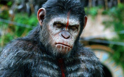 Nový film o Planéte opíc sa začne natáčať už tento rok. Poznáme režiséra a vieme, že príbeh bude pokračovať v odkaze opice Caesara