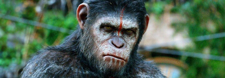Nový film o Planetě opic se začne natáčet už letos. Známe režiséra a víme, že příběh bude pokračovat v odkazu Caesara 