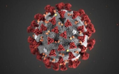 Nový koronavirus objevili ve vzorcích z odpadních vod z března 2019. Barcelonská studia může nabourat chronologii šíření