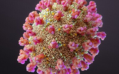 Nový variant koronavírusu B.1.1.529. pochádza z africkej Botswany. Vedci zatiaľ o ňom veľa nevedia
