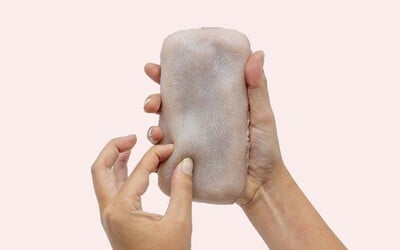Obal na mobil podobný ľudskej koži reaguje na dotyky, dá sa aj štekliť