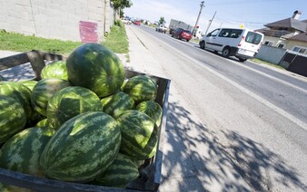 Obchodníci popri cestách nepredávajú slovenské melóny. Odborníci upozorňujú na mnohé riziká