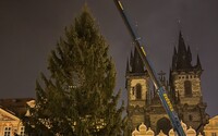Obrazem: Na Staroměstském náměstí v Praze stojí vánoční strom, svítit bude v rámci úspor omezeně