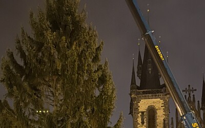 Obrazem: Na Staroměstském náměstí v Praze stojí vánoční strom, svítit bude v rámci úspor omezeně