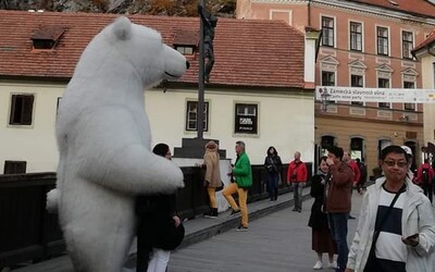 Obří medvědí maskot se přesunul z Prahy do Českého Krumlova. Za fotky si bere peníze