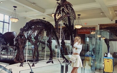 Obrovská kostra Tyrannosaura Rexa môže byť tvoja za 6 miliónov dolárov