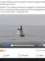 Obrovská veľryba vyskočila z vody za malou rybárskou loďkou. Rybár nechcel veriť vlastným očiam