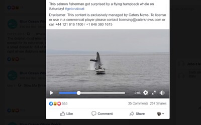 Obrovská velryba vyskočila z vody za malou loďkou. Rybář nemohl uvěřit vlastním očím