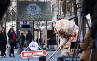 Odhalili týrání zvířat a nyní je za to ženou k soudu. O vině se možná rozhodne už příští týden