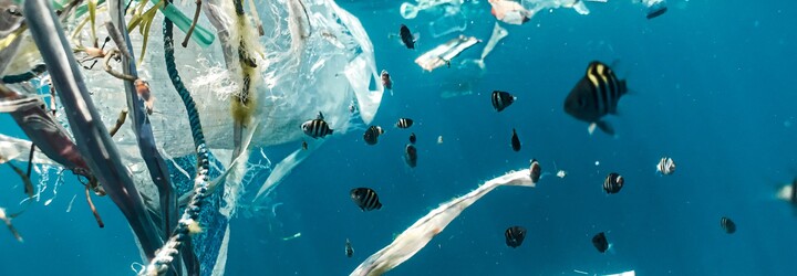 Odpadková skvrna o velikosti Francie je domovem pro stále větší počet organismů. Plave v ní 79 tisíc tun plastu