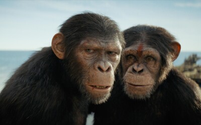 Opice v napínavom traileri Kráľovstvo planéty opíc lovia ľudí. Zabudli už úplne na Caesarov odkaz?