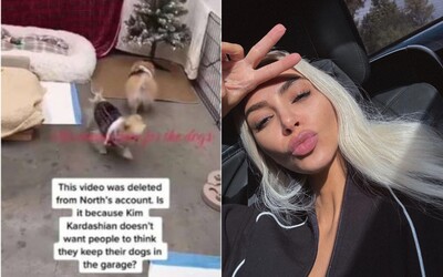 PETA kritizuje Kim Kardashian, obáva sa, že hviezda má svoje psy zamknuté v garáži bez svetla a výbehu