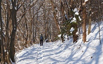 POČASÍ: Část Česka čeká sněhová nadílka, meteorologové varují před ledovkou