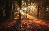 POČASÍ: Mrazíky vystřídá slunce. Dočkáme se až 20 stupňů