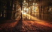 POČASÍ: Mrazíky vystřídá slunce. Dočkáme se až 20 stupňů
