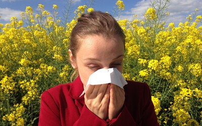 PREHĽAD: S jarou prichádzajú aj peľové alergie. Mnohé trápia Slovákov už teraz