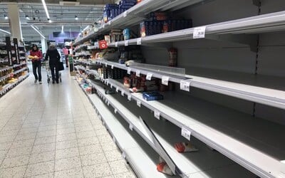 Panika v obchodech: Češi na internetu kupují i 600 kg jídla najednou. Košík.cz musel omezit objednávky